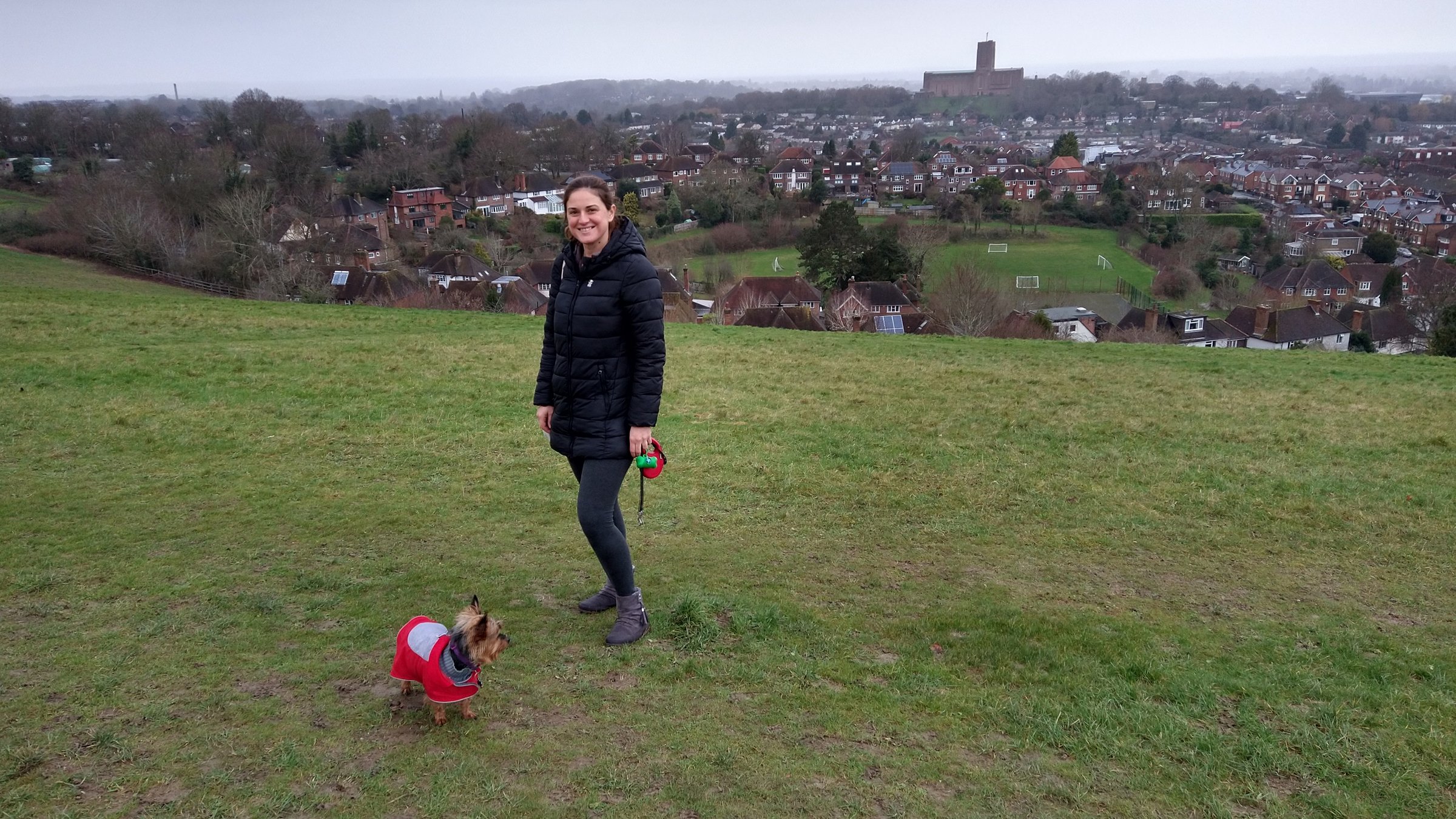 A dog on The Mount above Guildford, with the cathedral and the town beyond