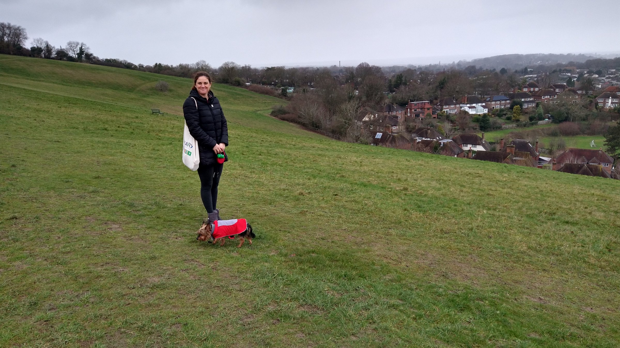 The view over Guildford from The Mount