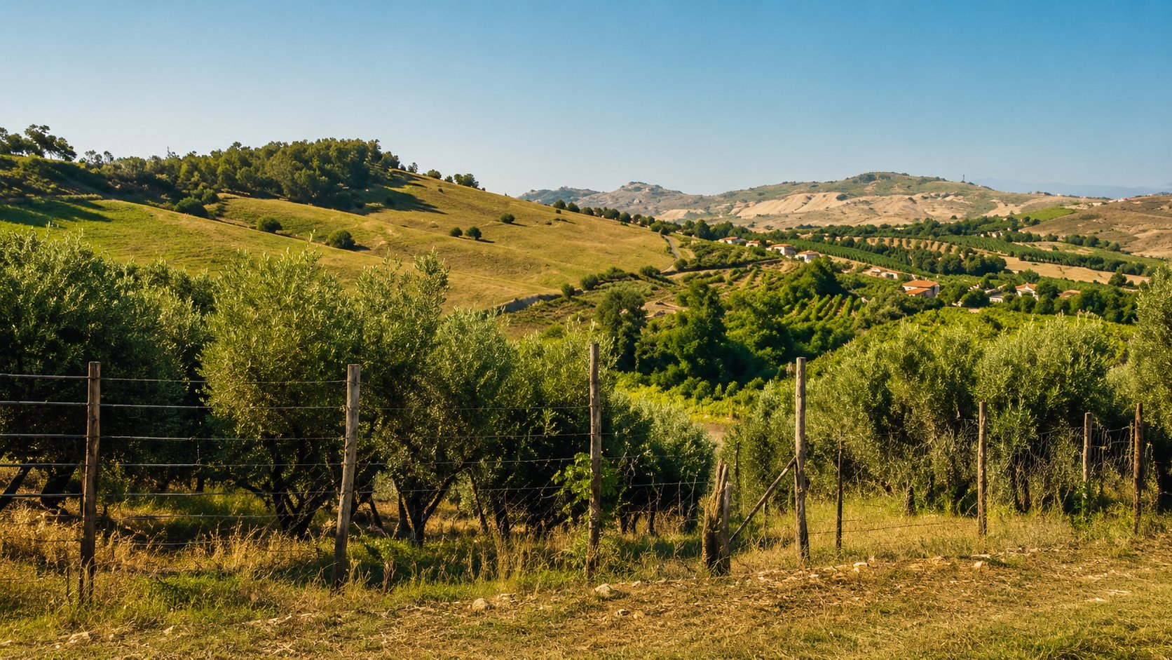 The Santacinnara organic farm in the hills of Calabria