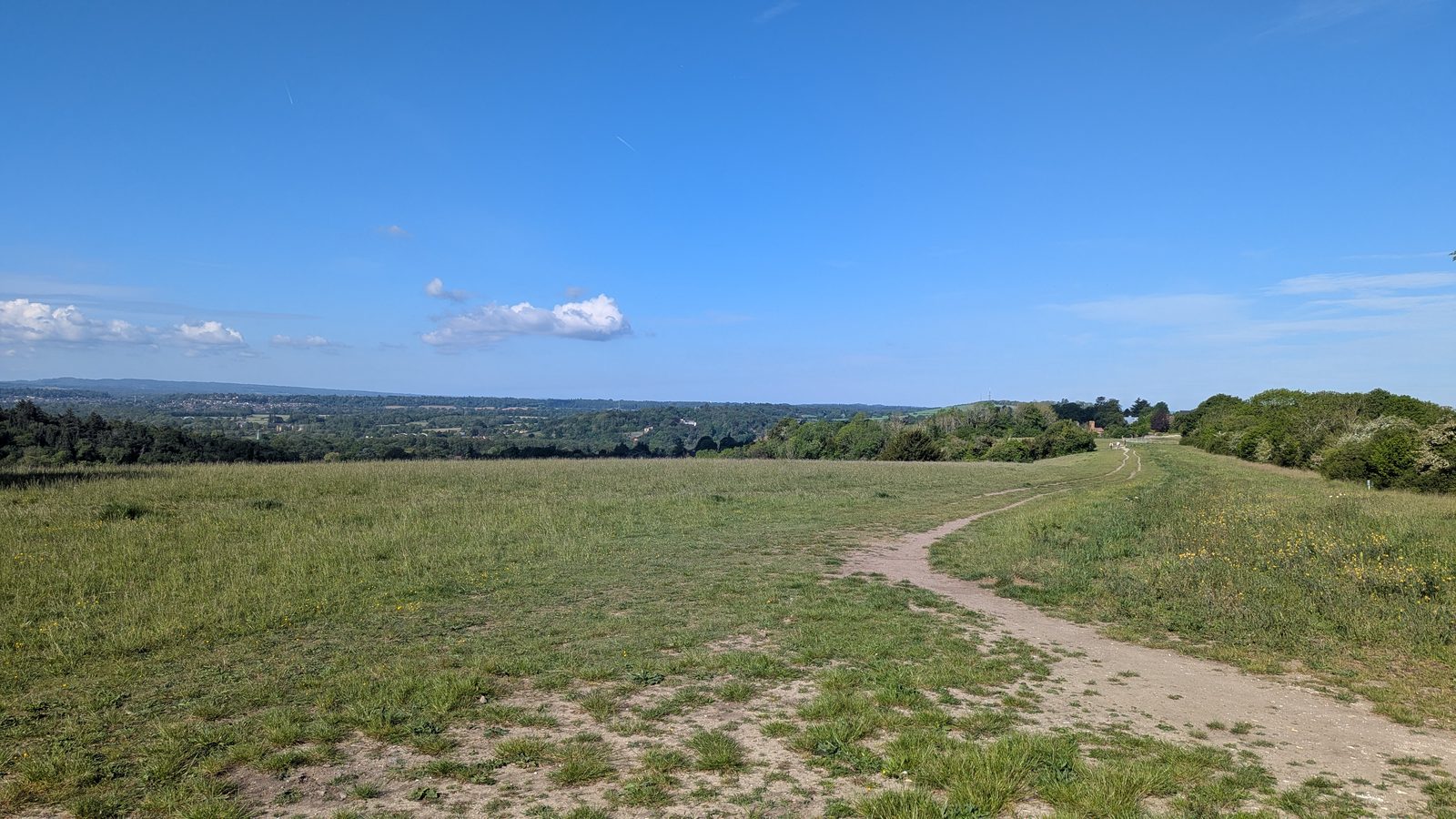 Open chalk downland and long views south from Pewley Down