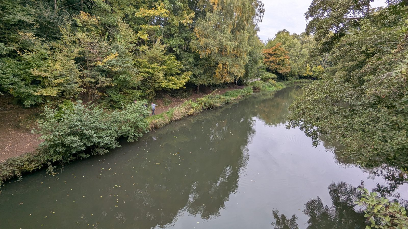 The tree-lined River Wey on the towpath near Guildford